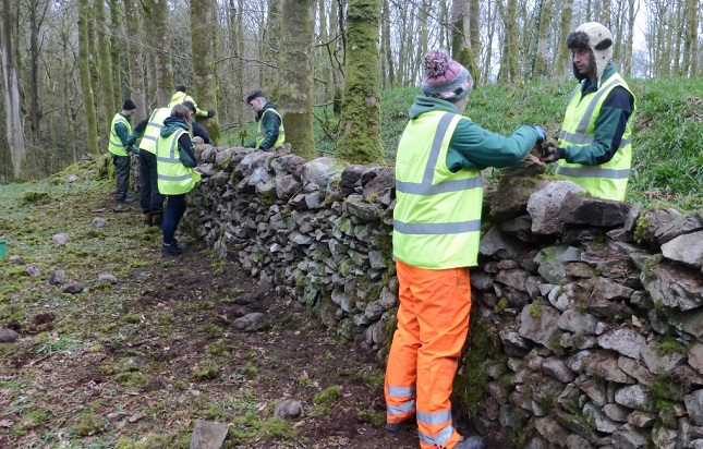 Forestry apprentices work in pairs on wall
