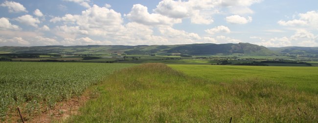 Field with hills in background