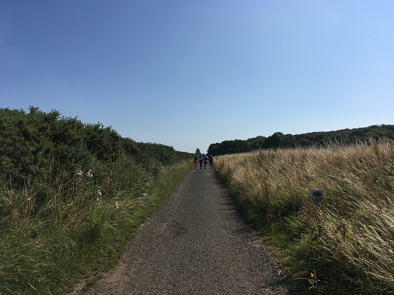 People on path in-between fields