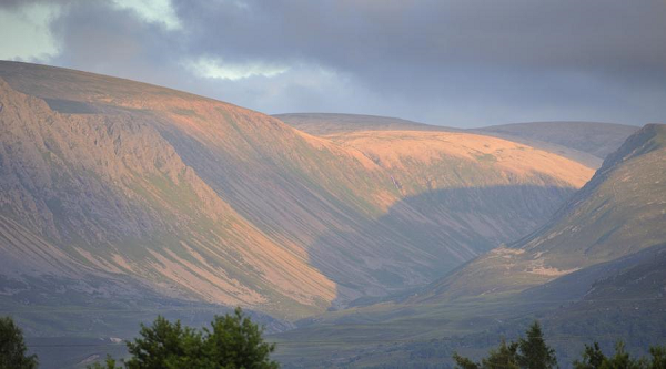 Cairngorms - Photo from NatureScot