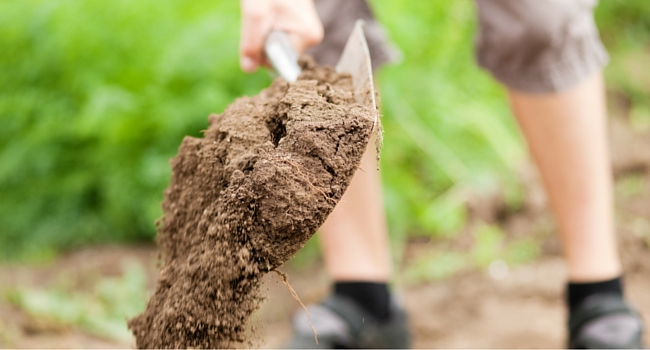 Person shovelling soil