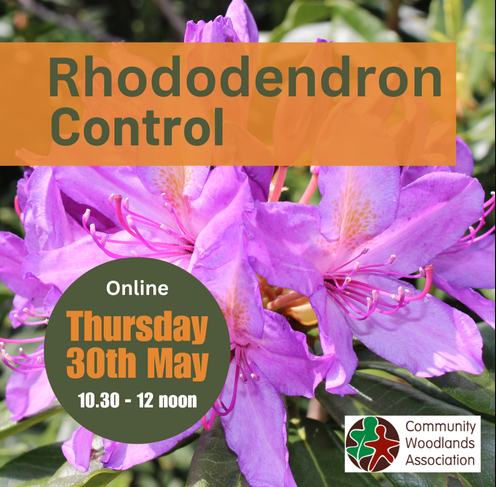 Approaches to Long-Term Sustainability of Rhododendron Control 