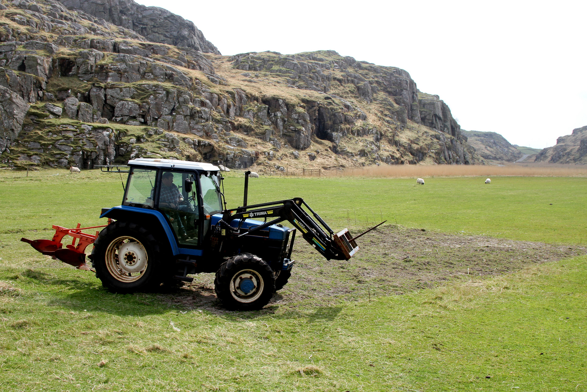 Tractor in field