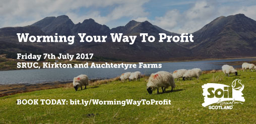 Sheep in field with hills in background and text: worming your way to profit