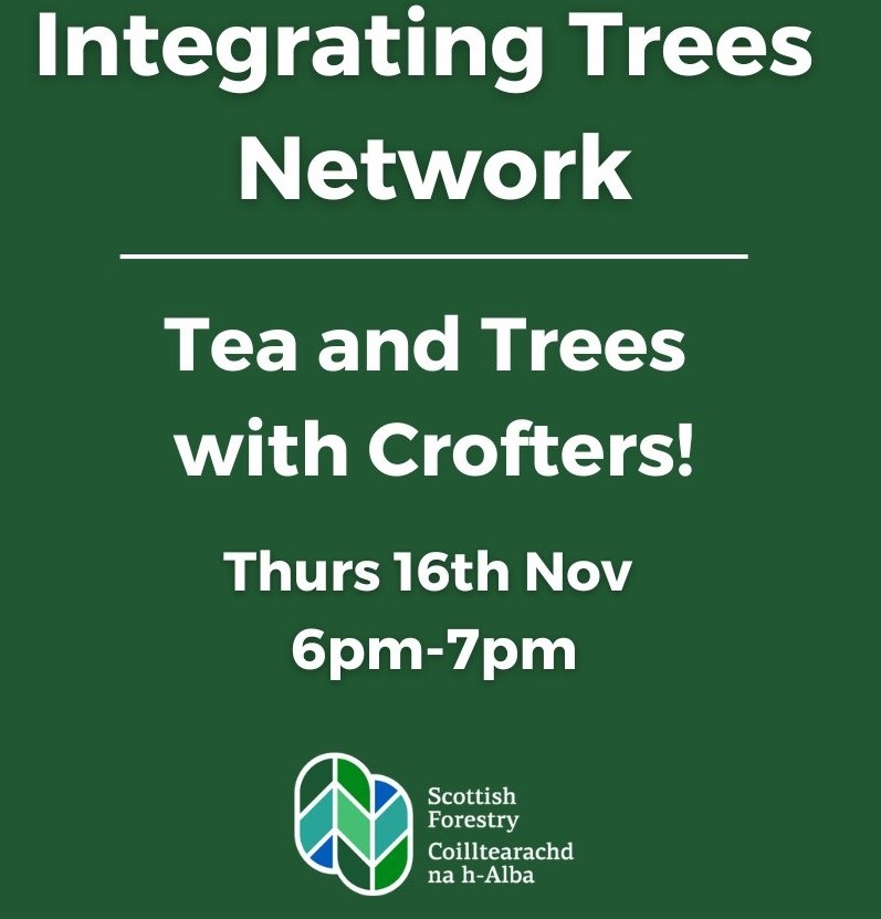 Integrating Trees Network - Tea and Trees with Crofters Event Flyer