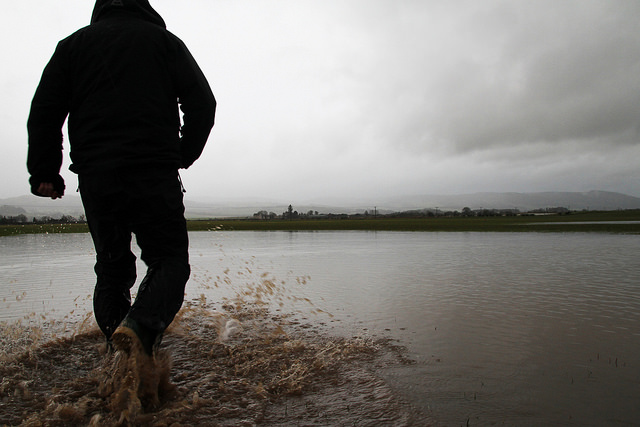 Person walking in flooded field