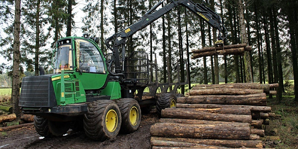 Forestry Jobs Summit - Machinery by log stack