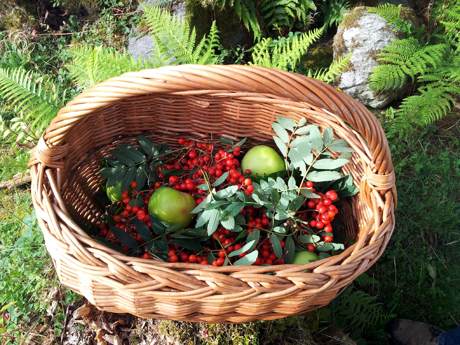 Fun with Fruit and Fungi at The Scottish Crannog Centre