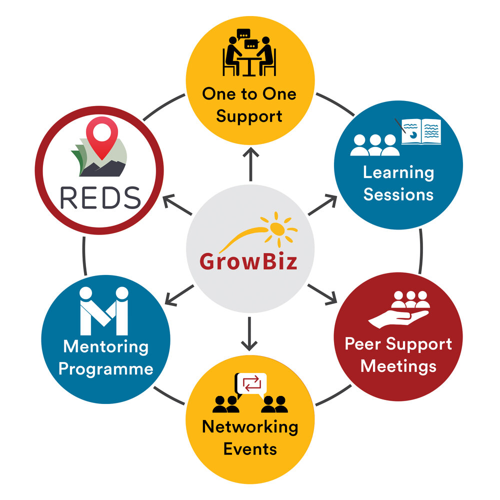 Diagram of Growbiz services