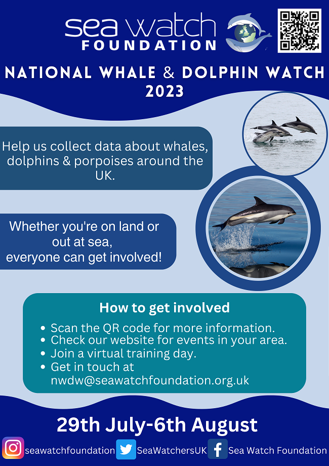 National Whale and Dolphin Watch