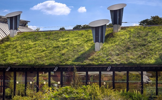 grass topped building