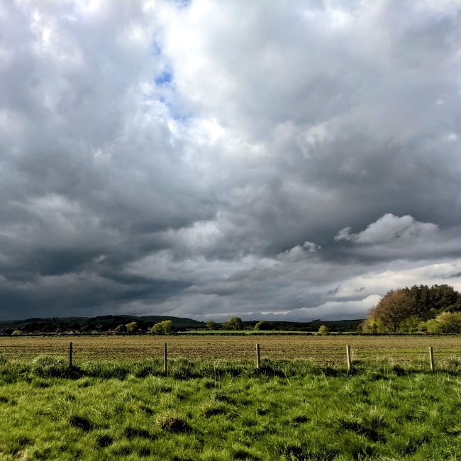 Field with fence and dark clouds in the distance
