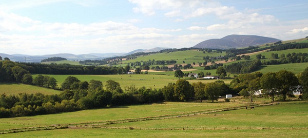 Landscape with fields, hills and trees