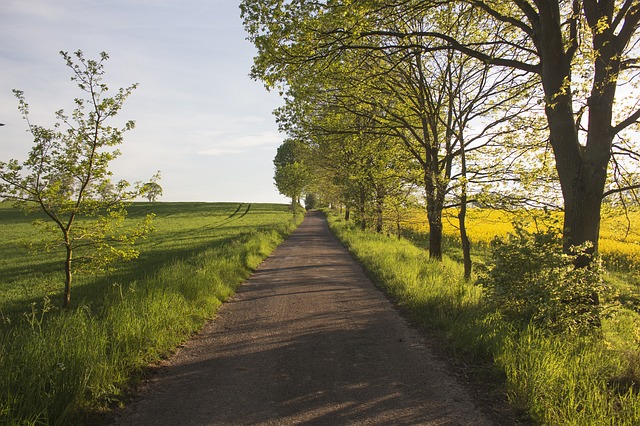 Polish road