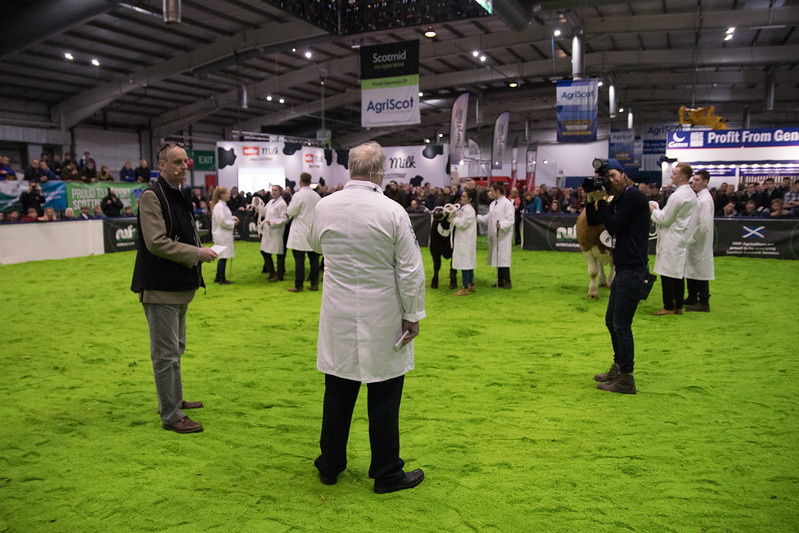 Animal judging at AgriScot 2018, crown copyright. Photographer: Barrie Williams