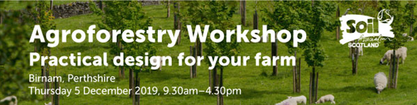 Agroforestry Workshop graphic