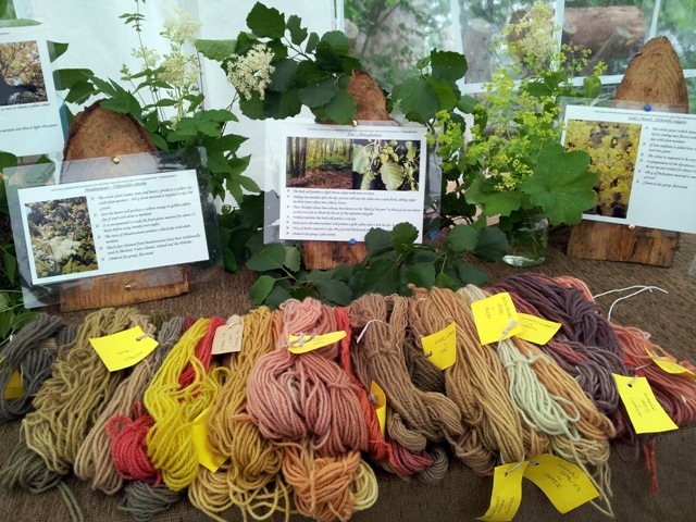 Dyed yarns on table 