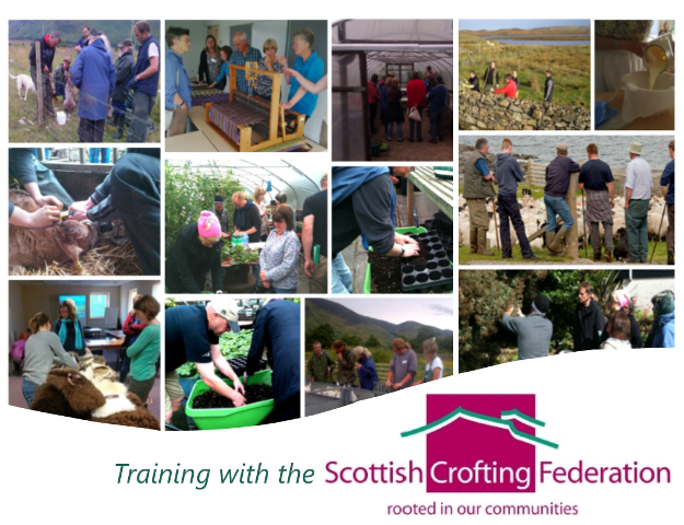 graphic showing photos from crofting training events