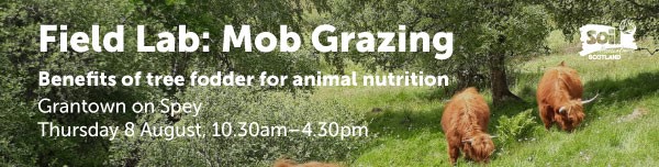 Field Lab: Mob Grazing graphic, with event details and farm background