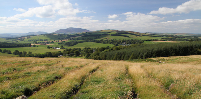 Field with hills in background