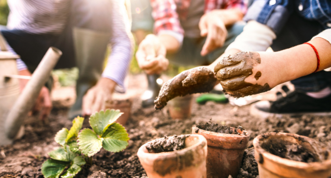 people gardening