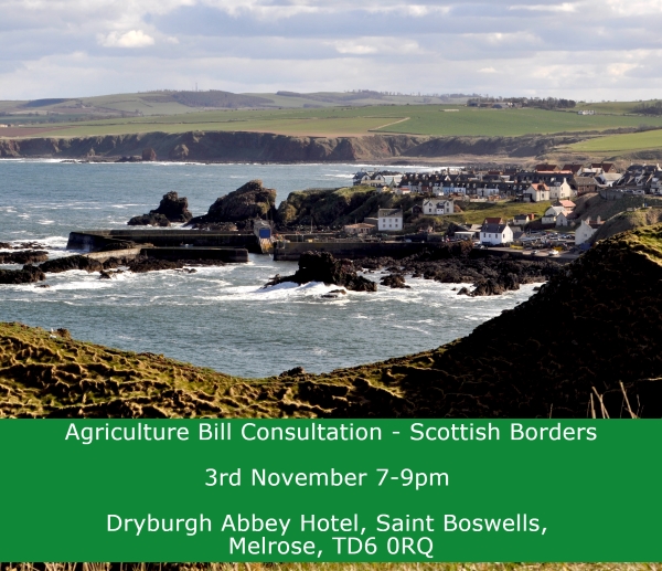 View over St Abbs with workshop details 