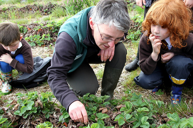 Woman and children looking at plants