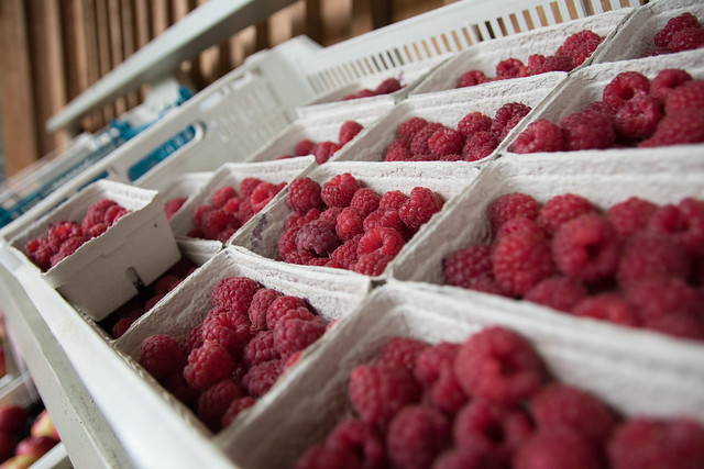 Close up of punnets of raspberries. Produce on sale at Craigie's Farm. Crown copyright. Photographer - Barrie Williams.