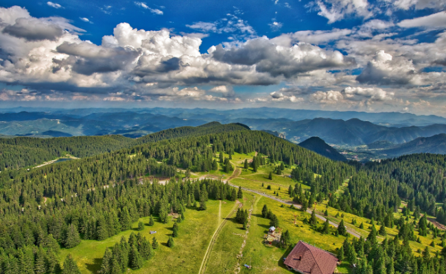 rural landscape