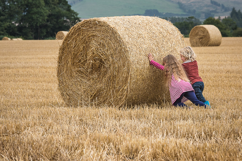 Two small children trying to push large hay bale