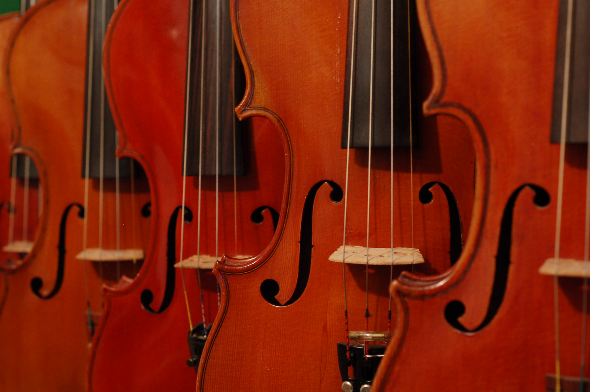 Close up of fiddles