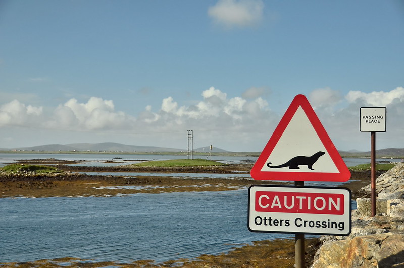 "Passing places" and "caution otters crossing" signs by causeway
