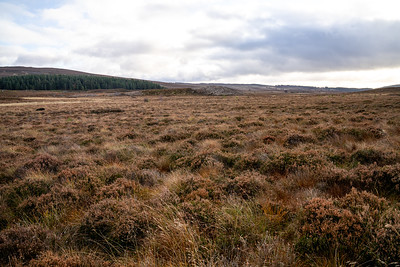 A view of Scottish Moorands