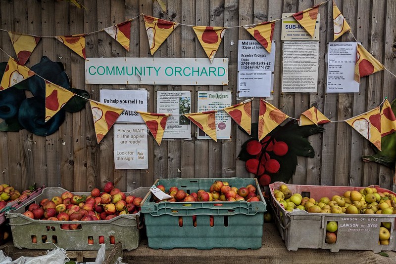 Three crates of apples on table with bunting and sign reading "community orchard"