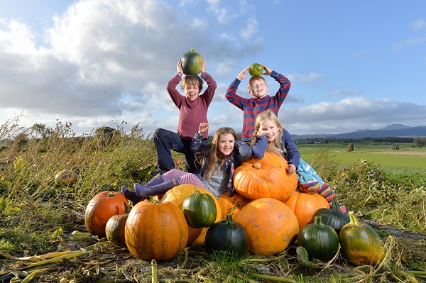 Arnprior Pumpkins - Children holding pumpkins