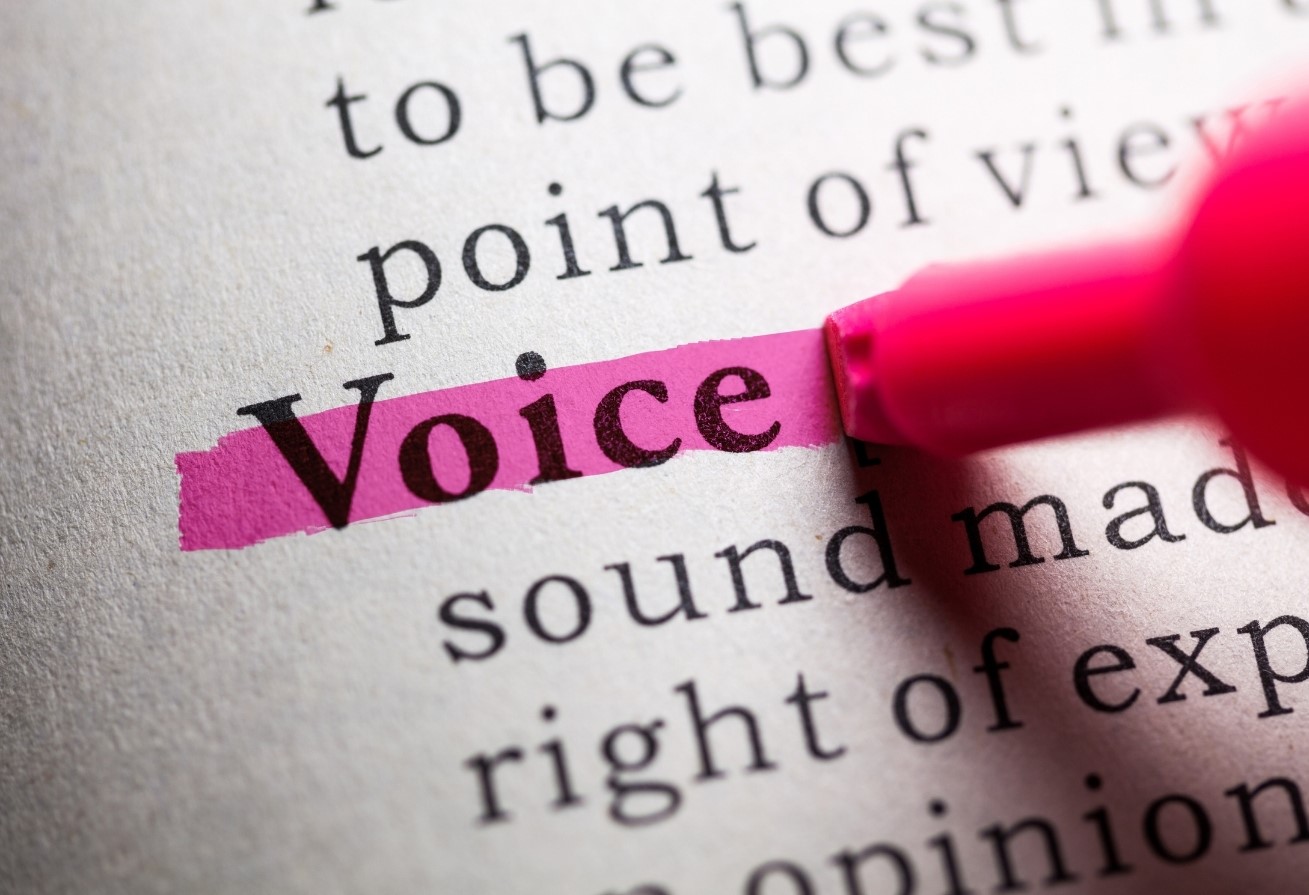The word Voice highlighted in a dictionary use a pink highlighter pen