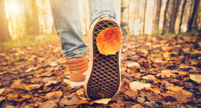 Close up of person walking in autumn woods