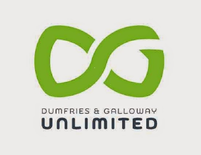 DG Unlimited logo