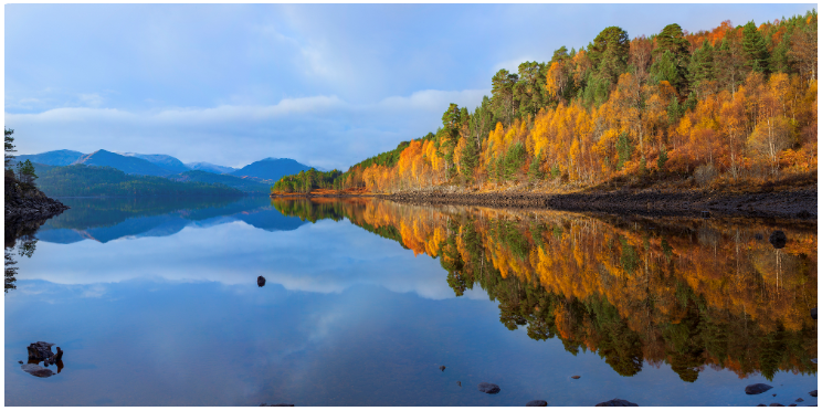 Loch view of Glen Affric lined in autumnal trees