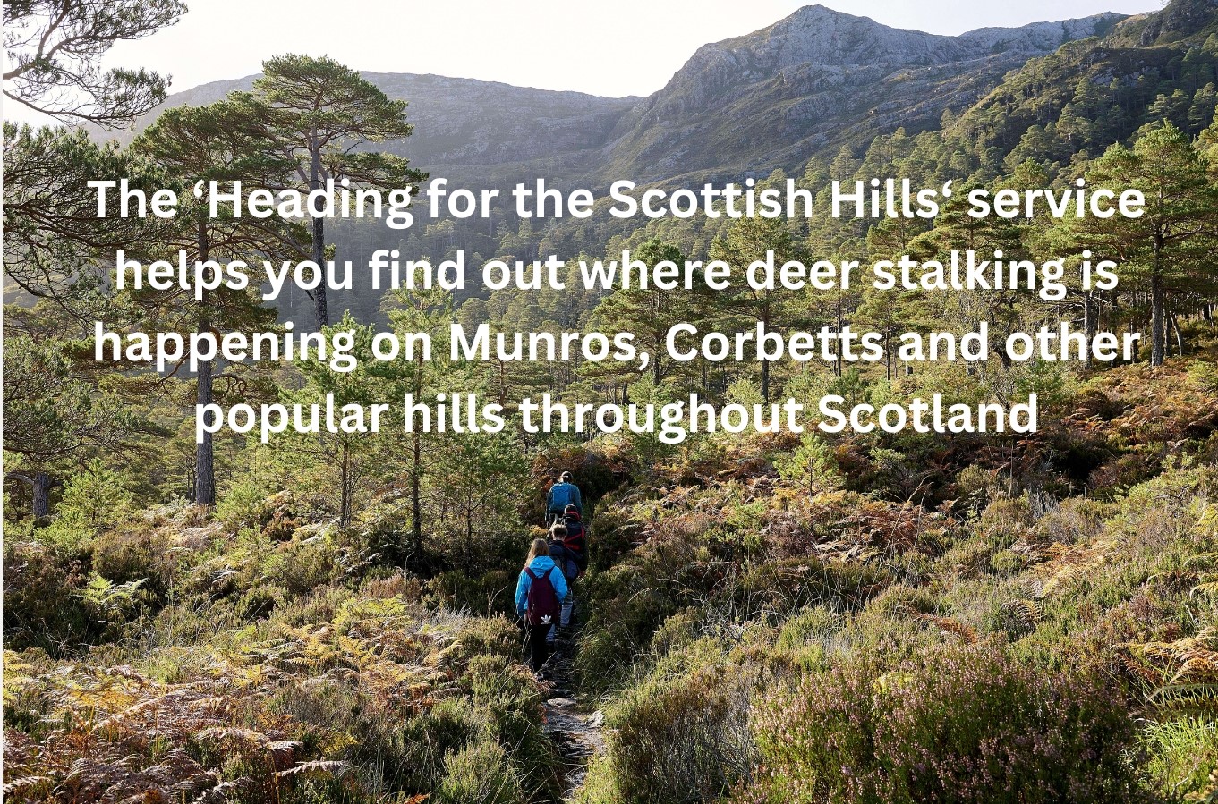 Heading for the Scottish Hills - walker on Beinn Eighe NNR - copyright NatureScot