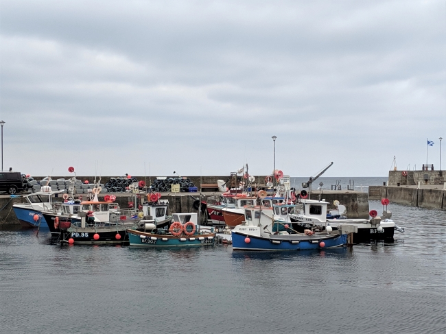 Fishing boats in Scottish Harbour