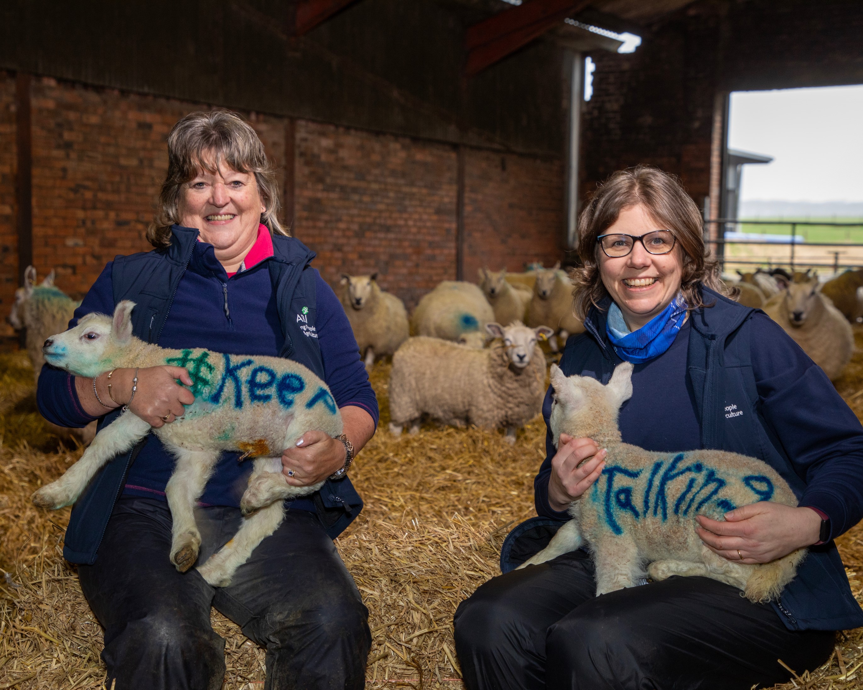 Keep talking - farmers holding lambs