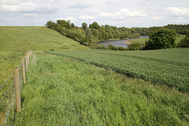 Field with trees and river