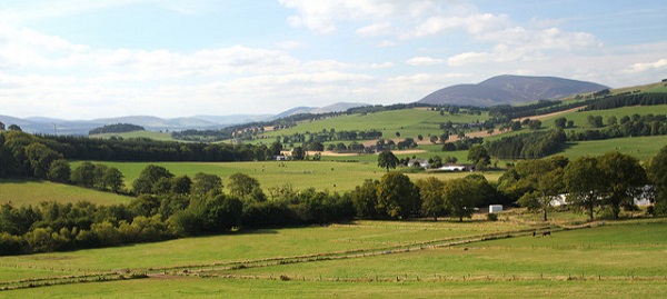 Lanscape with fields, hills and trees