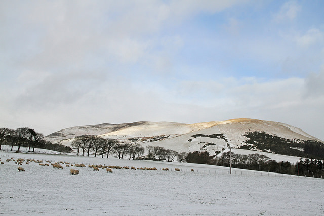 Snowy farm landscape