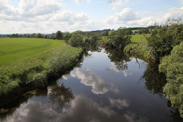river, with fields and tress
