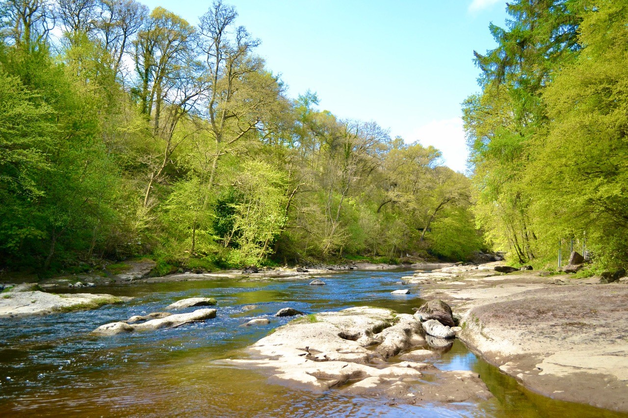 River Ericht and riverbank with trees