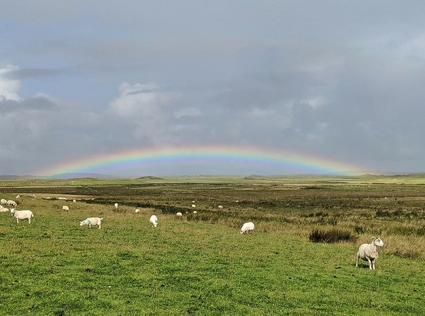 Rural Scotland with sheep