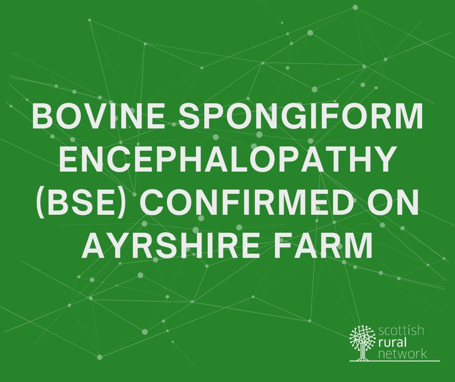 Bovine Spongiform Encephalopathy (BSE) has been confirmed on a farm in Ayrshire.