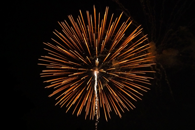Exploding firework against night sky 